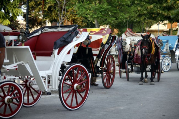 Κέρκυρα: Εισαγγελική παρέμβαση για το θάνατο αλόγου-Πρόστιμο 30.000 ευρώ
