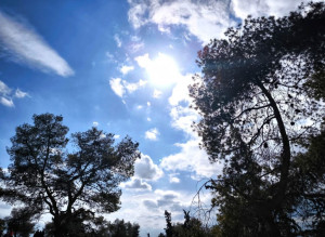 Καιρός: Ζέστη με τοπικές βροχές - Μέχρι 40°C την Παρασκευή, πτώση από το Σαββατοκύριακο