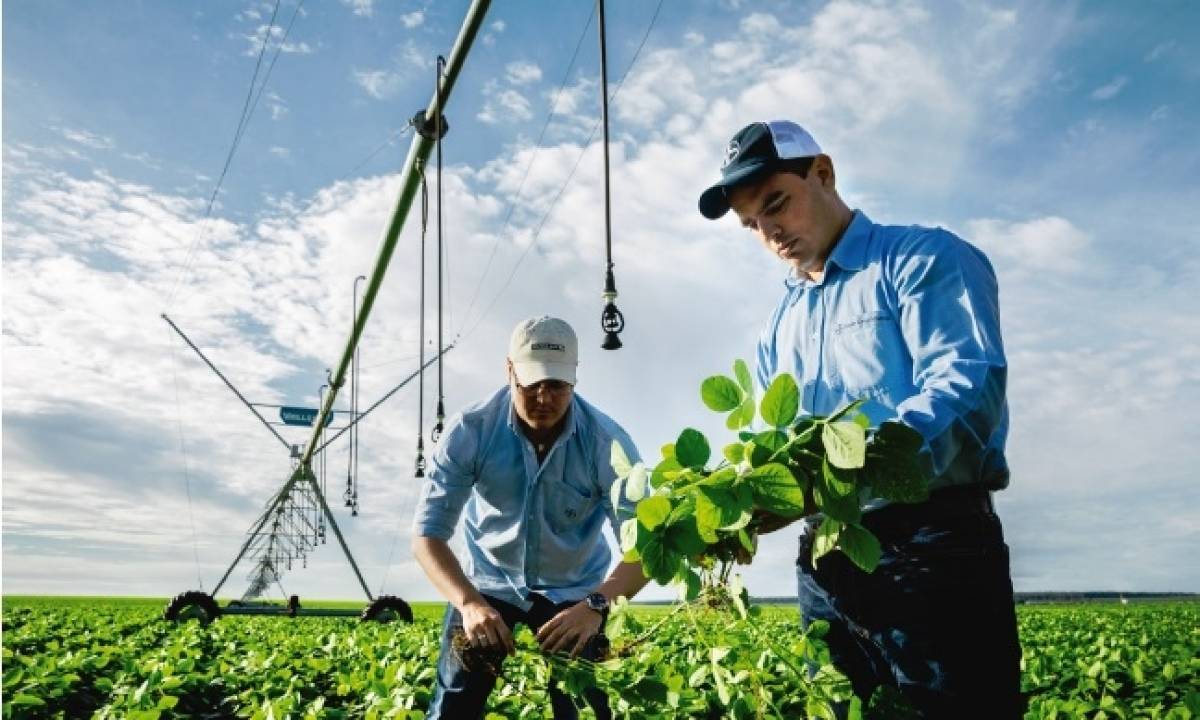 Το όραμα της Bayer για το μέλλον της γεωργίας
