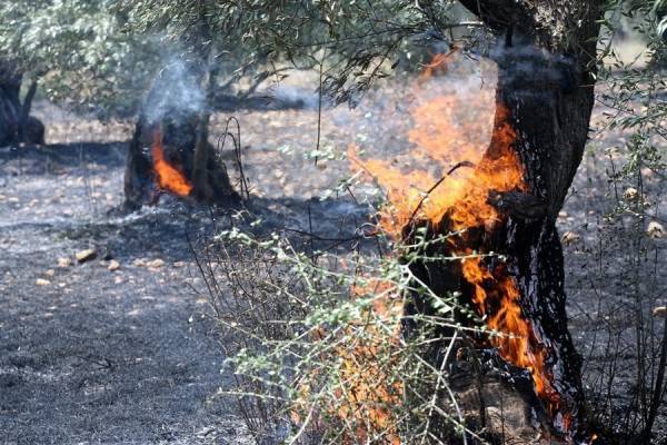 Φωτιά στο χωριό Άγιος Κήρυκας στη Ζάκυνθο