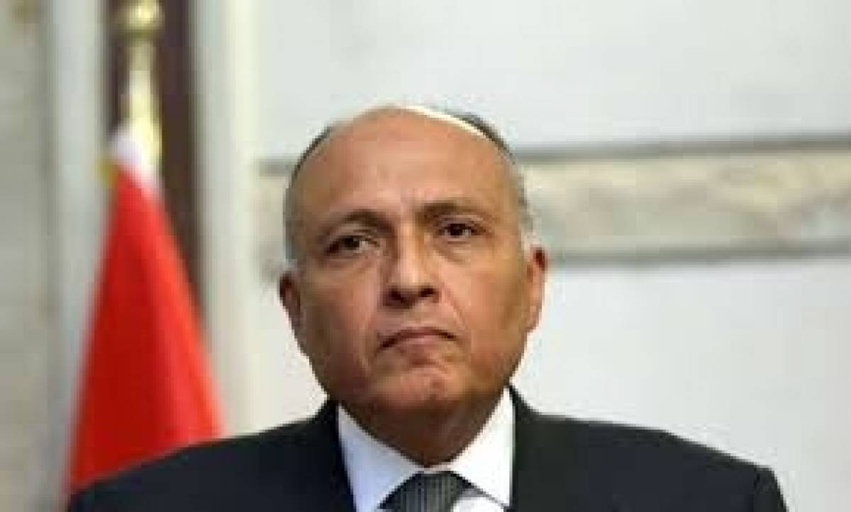 Αιγύπτιος ΥΠΕΞ: Τα μνημόνια Τουρκίας- Λιβύης θα διαταράξουν τη σταθερότητα