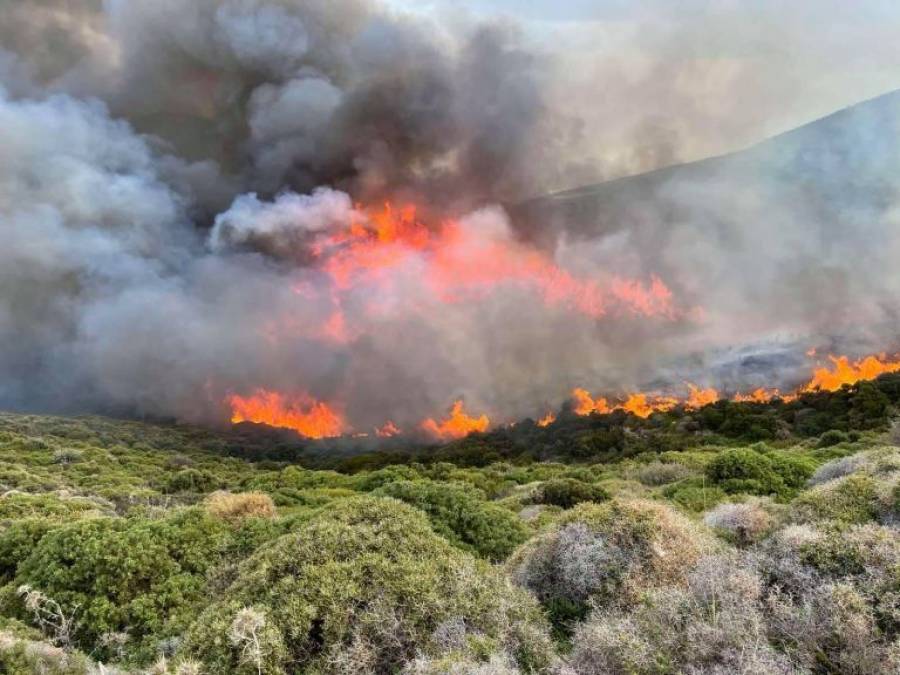 Πυρκαγιά σε δασική έκταση στη Μονεμβασιά Λακωνίας