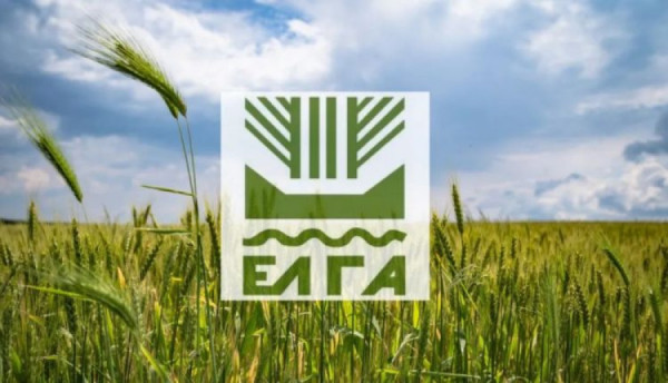 ΕΛΓΑ: Καταβάλλει ενισχύσεις αξίας €2.398.057,42 σε 525 δικαιούχους στις 16/4