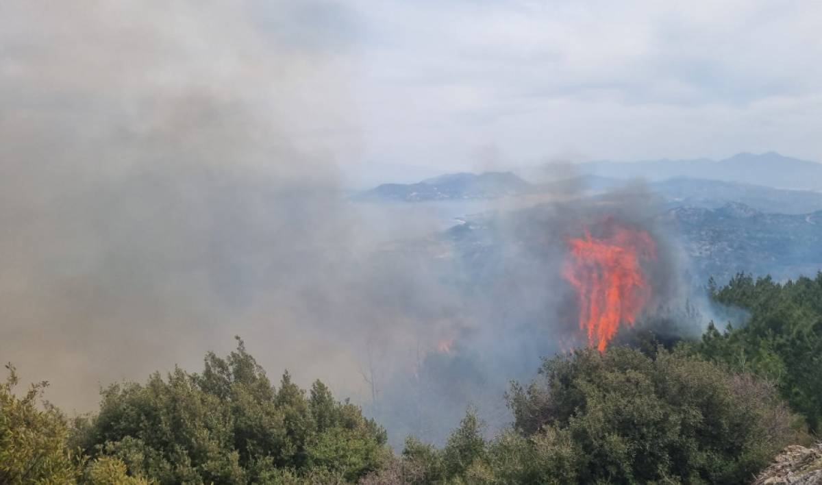 Ηλεία: Διπλό πύρινο μέτωπο- Καίει κοντά σε σπίτια