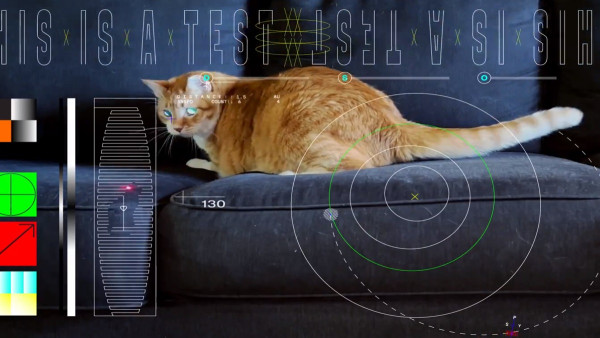 NASA: Βίντεο γάτας από το διάστημα με τεχνολογία λέιζερ