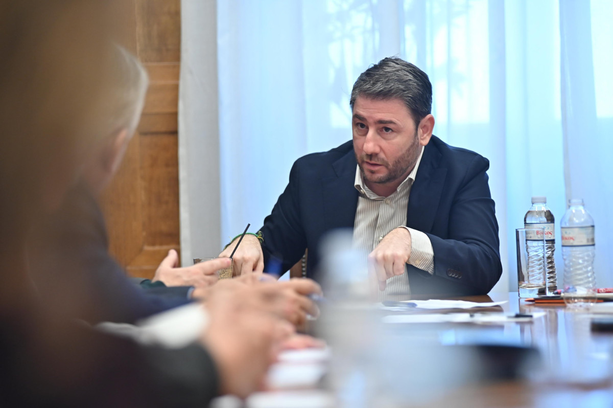 Ανδρουλάκης: Το δημογραφικό είναι το μεγαλύτερο εθνικό θέμα