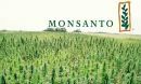 Monsanto: Ανακοίνωσε απροσδόκητη αύξηση κερδών και πωλήσεων στο τρίμηνο