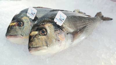Η ΕΛΟΠΥ προσφέρει φρέσκα ψάρια στο Κοινωνικό Παντοπωλείο του Δήμου Φιλιατών