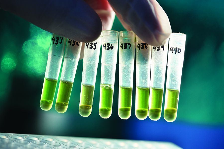 Βayer: Άνοιξαν οι αιτήσεις στο πρόγραμμα Grants4Ag για τη βιωσιμότητα