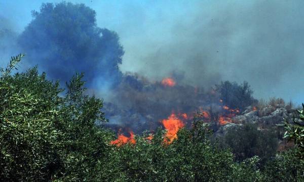 Σε ύφεση η πυρκαγιά στον Κιθαιρώνα