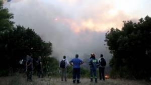 Έρχονται μέτρα στήριξης για τους πυρόπληκτους-Την Πέμπτη (5/8) οι ανακοινώσεις