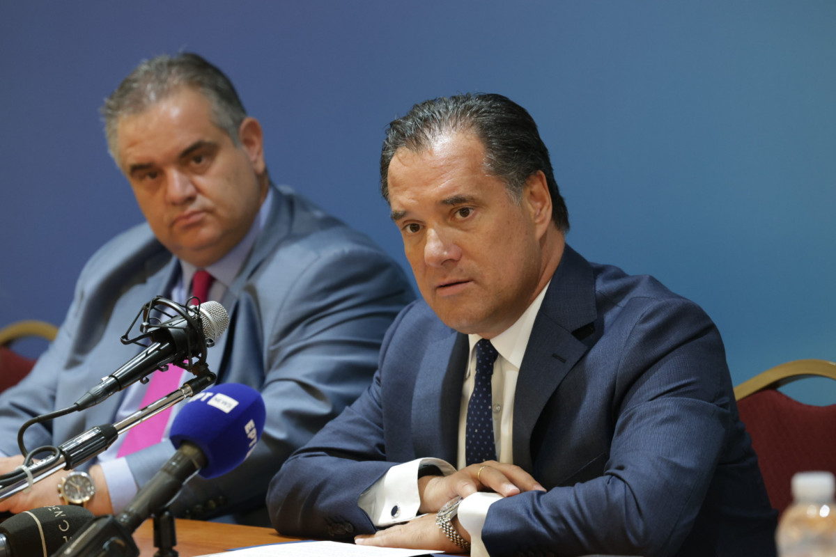 Γεωργιάδης: Επιτυχία Πολάκη στον ΣΥΡΙΖΑ με τον Κασσελάκη