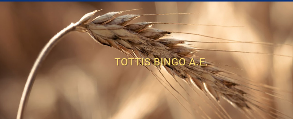 Αρχή Ελέγχου Αγοράς: Πρόστιμο €309.339 στην Tottis Bingo για υπερκέρδη στις σοκολάτες