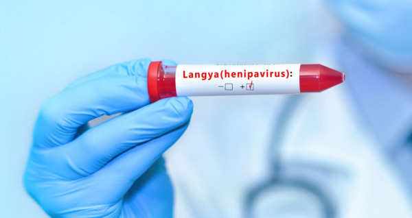 Ιός Langya: Καθησυχαστική η πρώτη εκτίμηση του ΕΟΔΥ