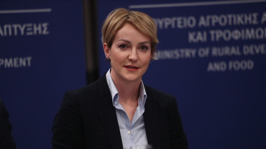 Σδούκου: Στηρίζουμε την αύξηση της δυναμικότητας TAP και IGB