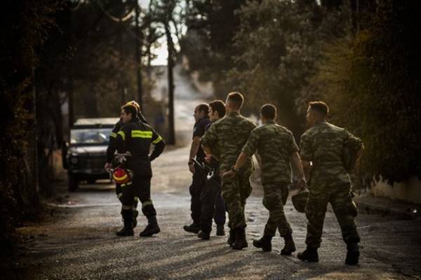 Στα δάση τα σώματα ασφαλείας για να προλάβουν πυρκαγιές