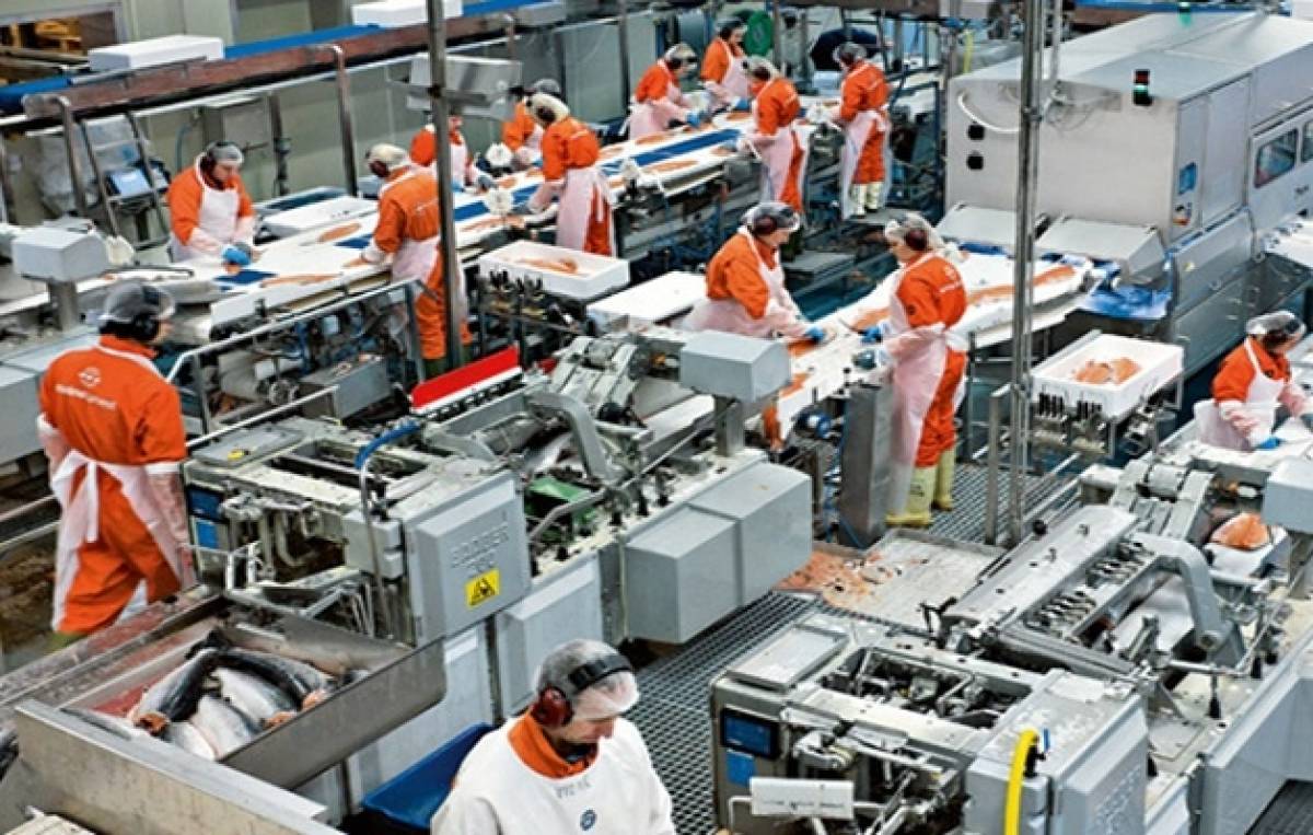 Αύξηση 3,6% στο γενικό δείκτη τιμών παραγωγού στη βιομηχανία