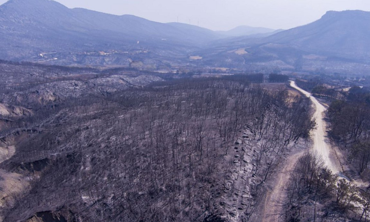 Κυβερνητικό κλιμάκιο τη Δευτέρα στoν Έβρο