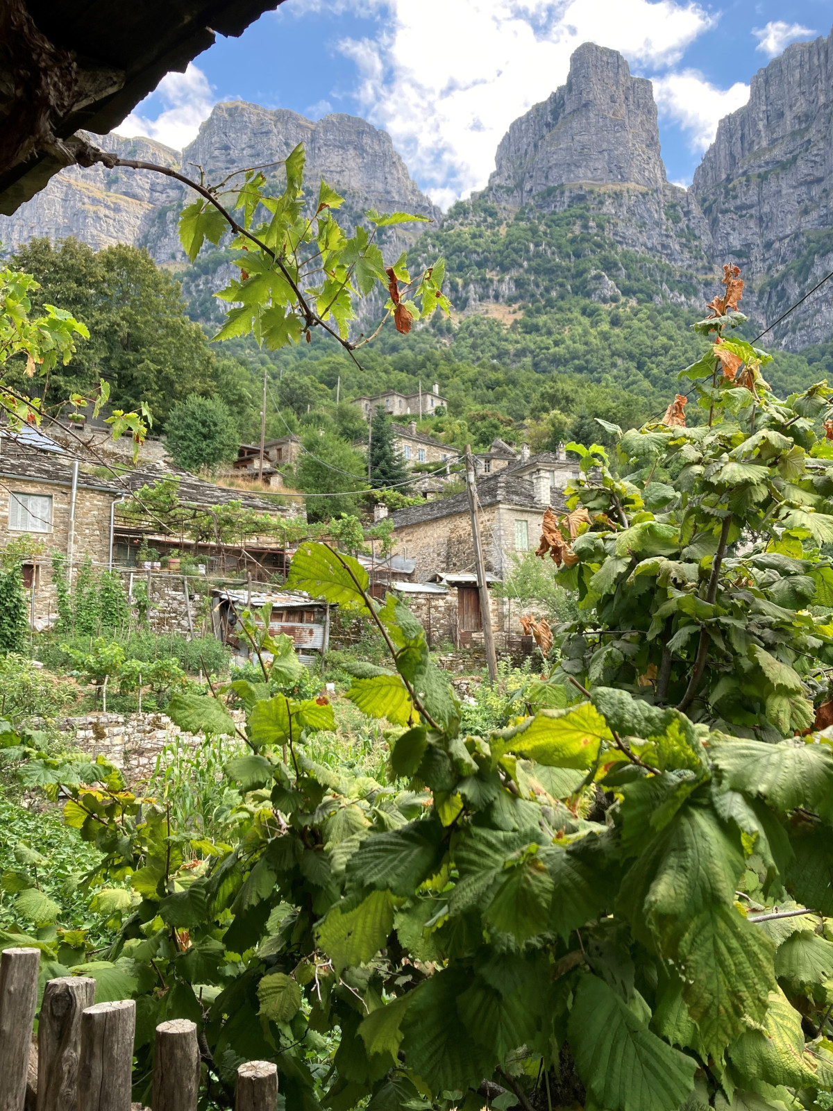 Save Papigo: Στο ΣτΕ για το βιολογικό στο Μικρό Πάπιγκο