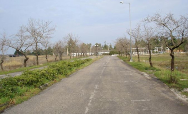 ΤΑΙΠΕΔ: Μία προσφορά για το ακίνητο «Ιαματική Πηγή& Κάμπινγκ Κονιαβίτη»