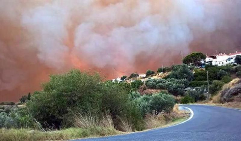 Πυρκαγιά Λακωνία: Αποκαταστάθηκε η ηλεκτροδότηση-Μετρούν πληγές οι κάτοικοι