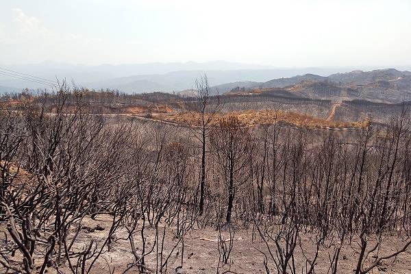 Έρχονται αποζημιώσεις για καλλιέργειες που κάηκαν το καλοκαίρι του 2021