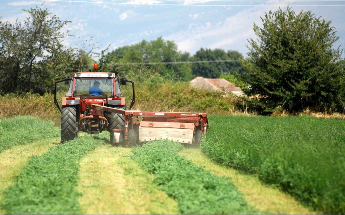 Αιτήσεις ανέργων της Δυτικής Μακεδονίας για εποχική απασχόληση στο Ηράκλειο