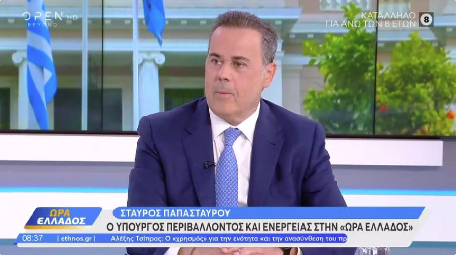 Παπασταύρου για καλώδιο Ελλάδας-Κύπρου: Η ελληνική πλευρά δεν εκβιάζει, μιλάει θεσμικά