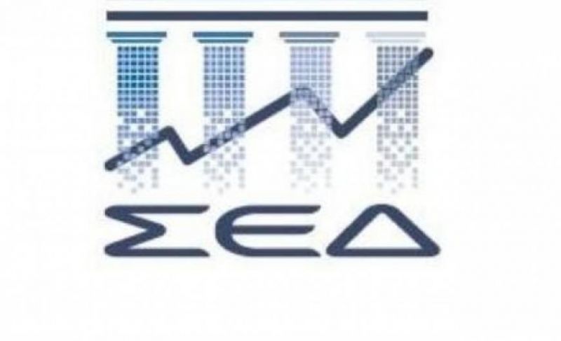 Το νέο Διοικητικό Συμβούλιο του ΣΕΔ