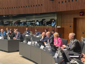Σδούκου: Αποσύνδεση των τιμών ηλεκτρικής ενέργειας από του φυσικού αερίου