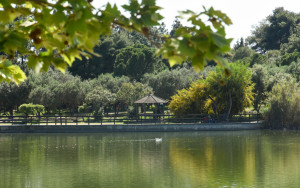 Τα πάρκα που κλείνουν λόγω καύσωνα στην Αττική