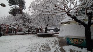 Μήδεια στο κέντρο της Αθήνας-Χιόνι σε Κολωνάκι, Ομόνοια, Παγκράτι (videos)