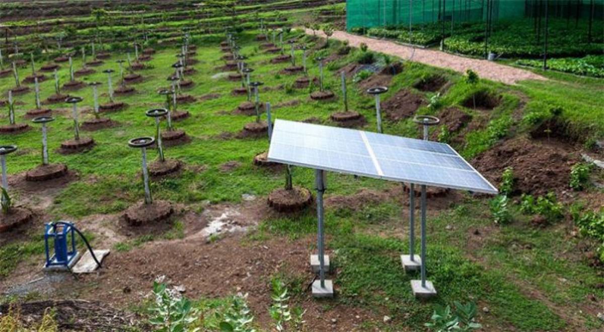 Αγροτικές εκμεταλλεύσεις οι ΑΠΕ έως 500 KW- Νομοθετική ρύθμιση