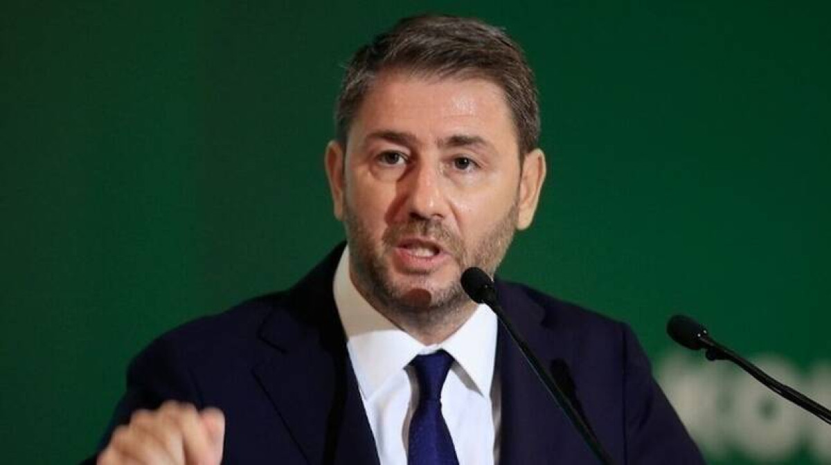 Κομματική πειθαρχία από τον Ανδρουλάκη για τα μη κρατικά ΑΕΙ