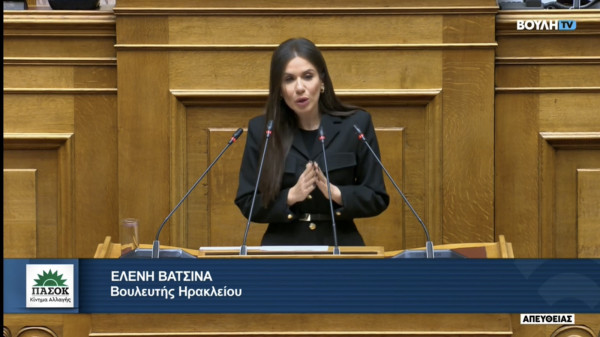 Βατσινά: Αναγκαία η διάσωση του ιστορικού πλατάνου στο Κράσι