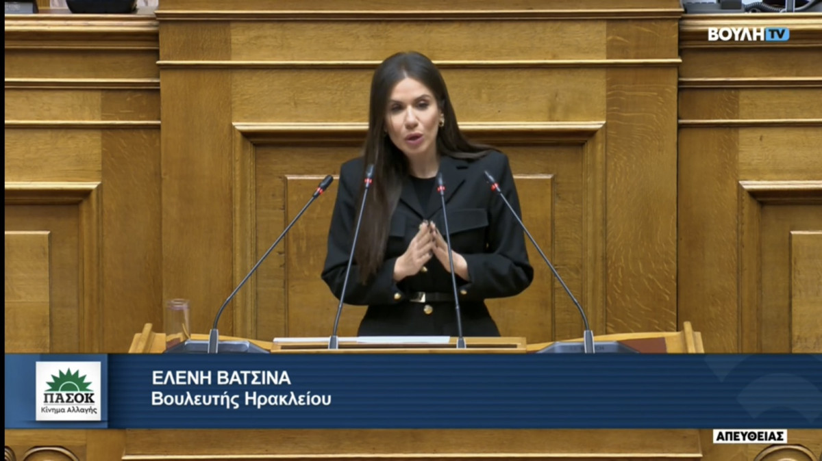 Βατσινά: Αναγκαία η διάσωση του ιστορικού πλατάνου στο Κράσι
