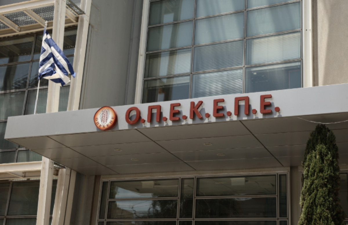 Σκάνδαλο ΟΠΕΚΕΠΕ: Απολογήθηκαν οι κατηγορούμενοι για τις παράνομες επιδοτήσεις - Τι υποστήριξαν