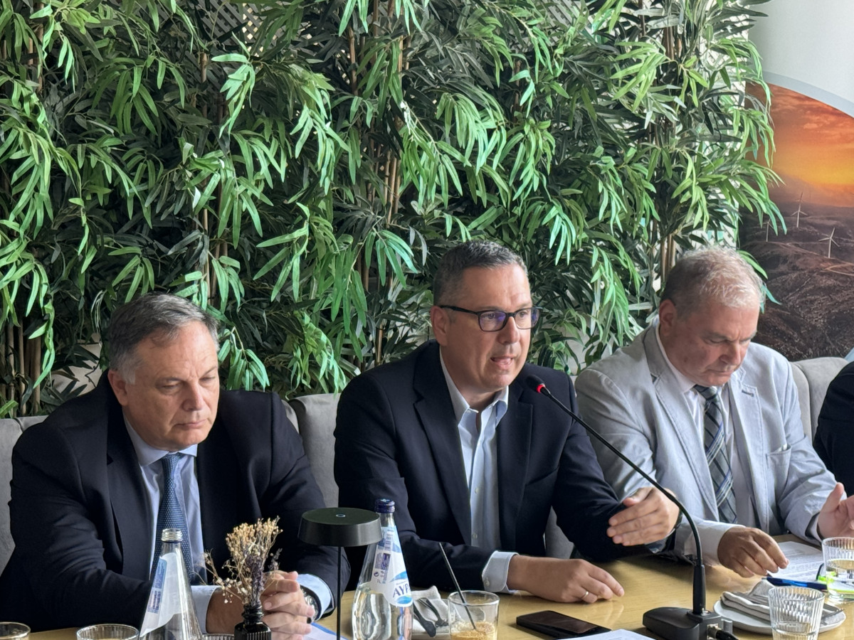 ΕΣΗΑΠΕ-ΕΛΕΤΑΕΝ: Τα τρία «κλειδιά» για βιώσιμη πράσινη μετάβαση
