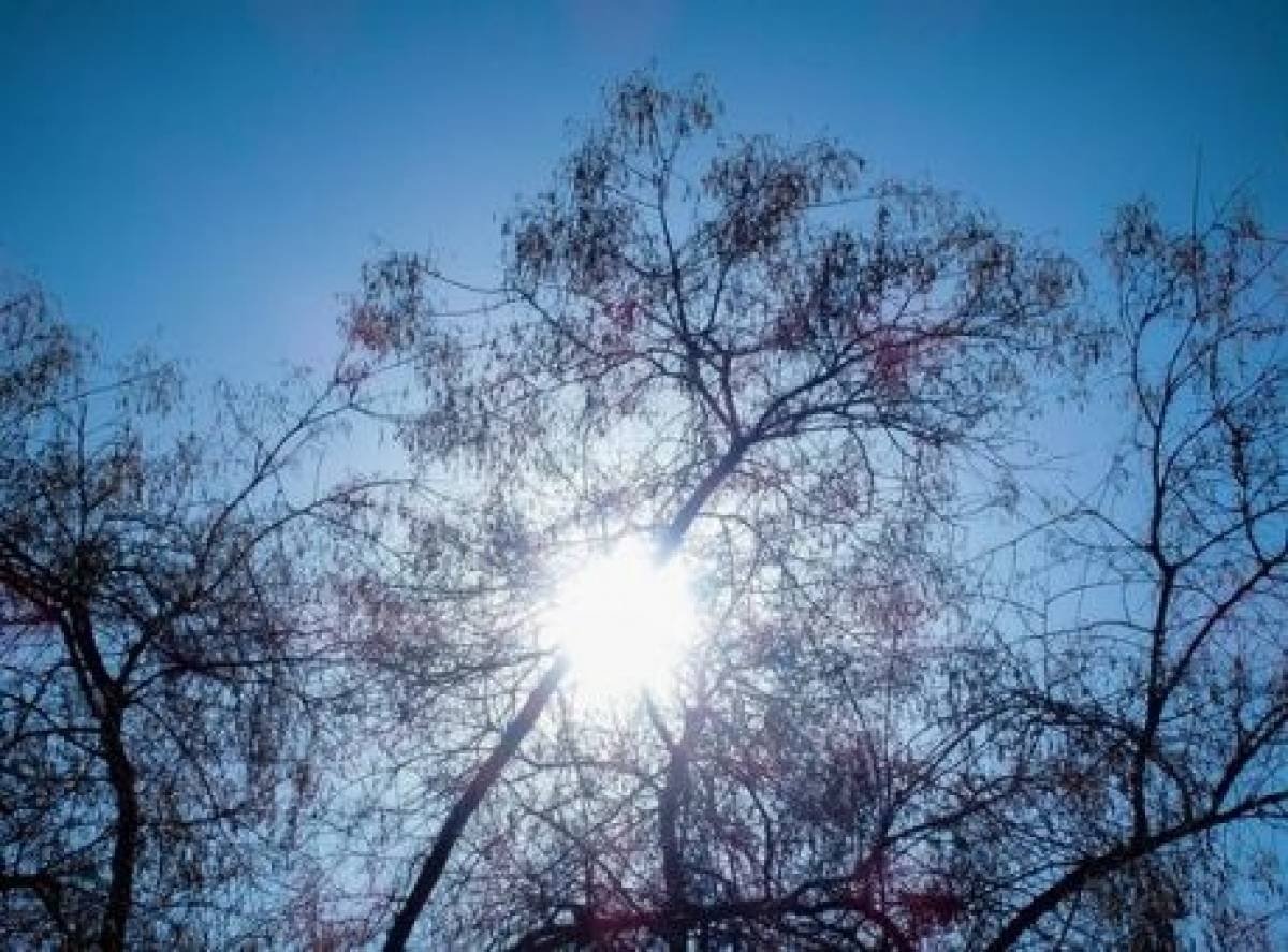 Σάββατο με αίθριο καιρό σε ολόκληρη τη χώρα