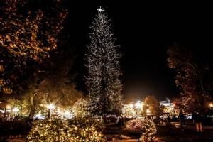 Τρίκαλα: Φωταγωγήθηκε το ψηλότερο Χριστουγεννιάτικο δέντρο