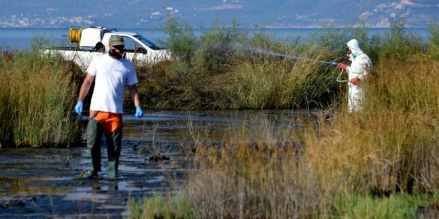 Ιός Δυτικού Νείλου: Εντατικοί ψεκασμοί στο νομό Σερρών