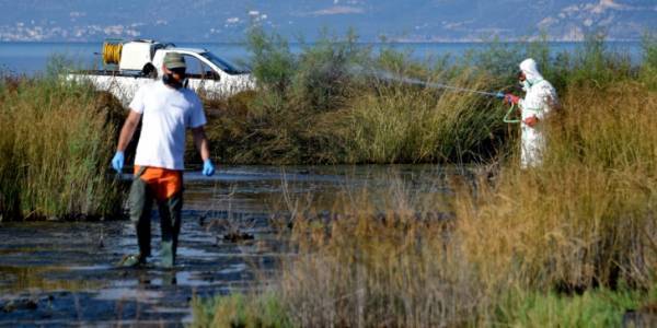 Ιός Δυτικού Νείλου: Εντατικοί ψεκασμοί στο νομό Σερρών