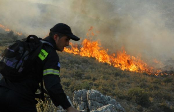 Πυρκαγιές-ΕΚΤΑΚΤΟ: Σε εξέλιξη πύρινο μέτωπο στον Αγ. Στέφανο
