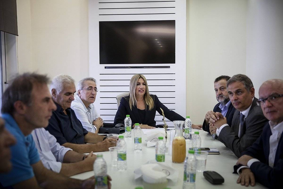 Γεννηματά: Μείωση φόρων στις επιχειρήσεις από το 29% στο 20%