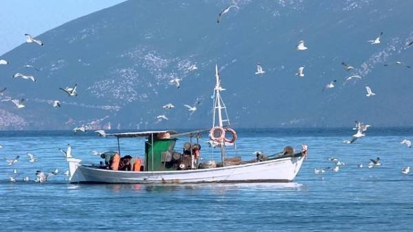 Σημαντική αύξηση κονδυλίων για την αλιεία στην ΕΕ