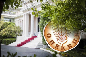 Κυβερνητικές πηγές: Σε «κυνήγι μαγισσών» εξελίσσεται ο ΟΠΕΚΕΠΕ