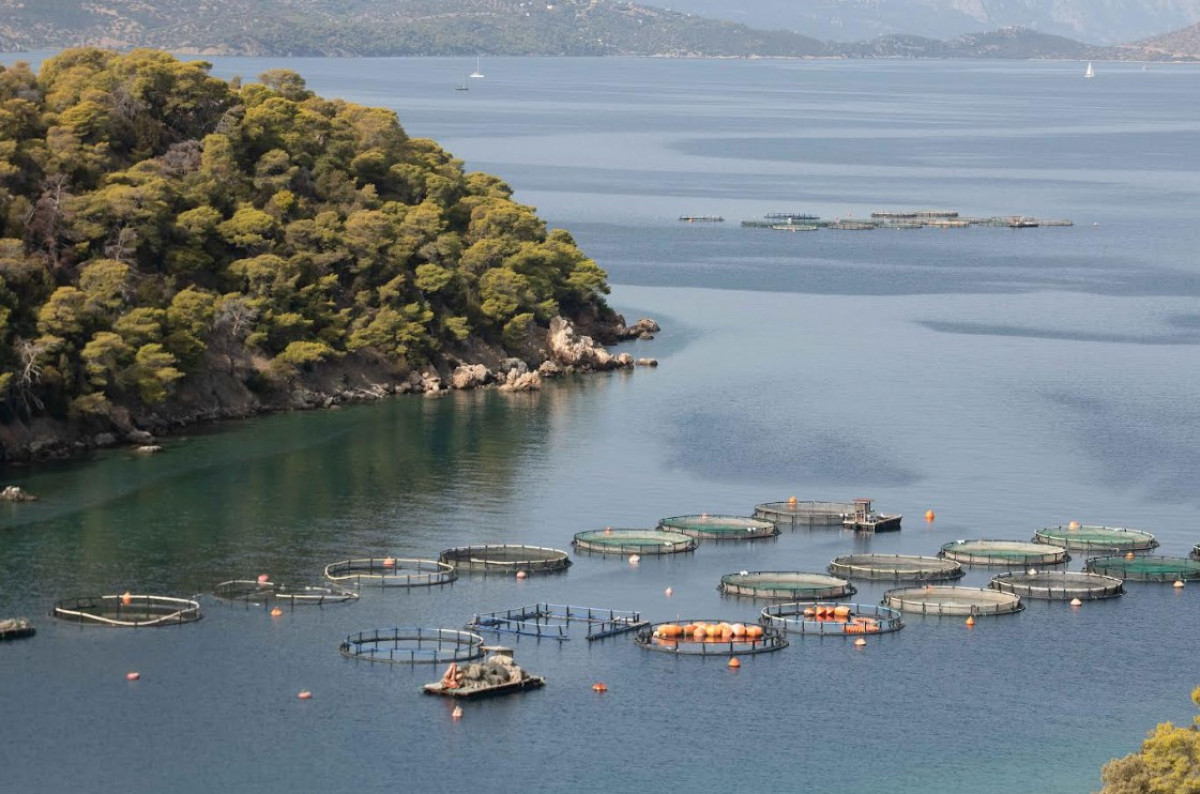 ΑΚΤΑΙΑ: Ανησυχία για την επιτάχυνση της επέκτασης των υδατοκαλλιεργειών στην Ελλάδα