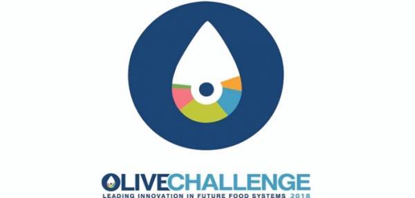 Ολοκλήρωση του κύκλου επώασης του 1ου διαγωνισμού Olive Challenge