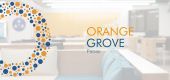Orange Grove Patras: Δεύτερος κύκλος αιτήσεων για νέες επιχειρηματικές ιδέες