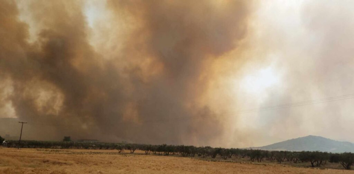 Νεκρός ο κτηνοτρόφος που αγνοείτο στον Άγιο Γεώργιο Φερών